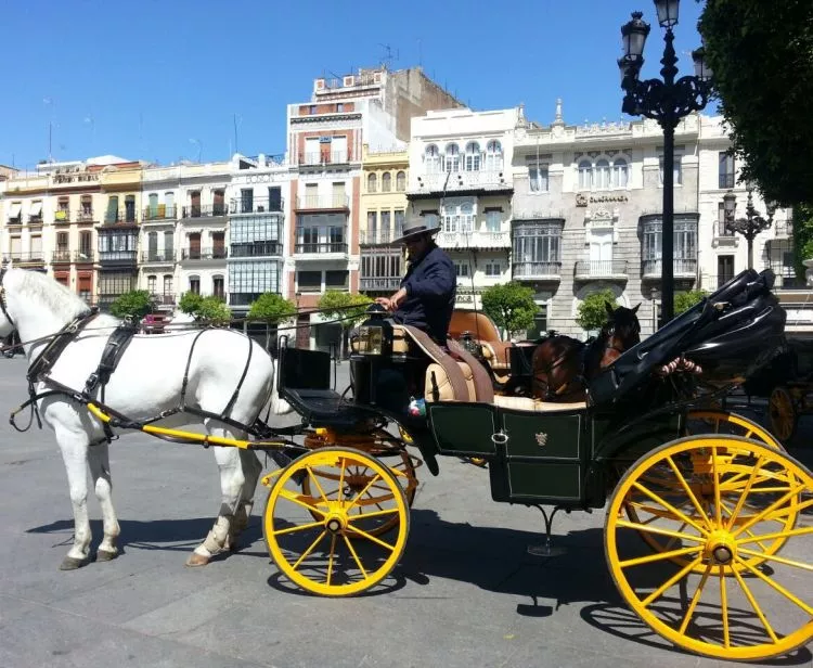 promenade caleche tours